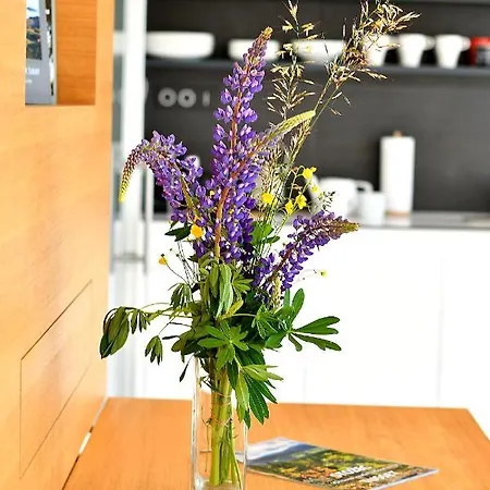 Appartement Tadeas *